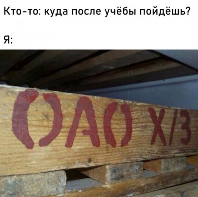 Веселые картинки в пятницу (08.08)