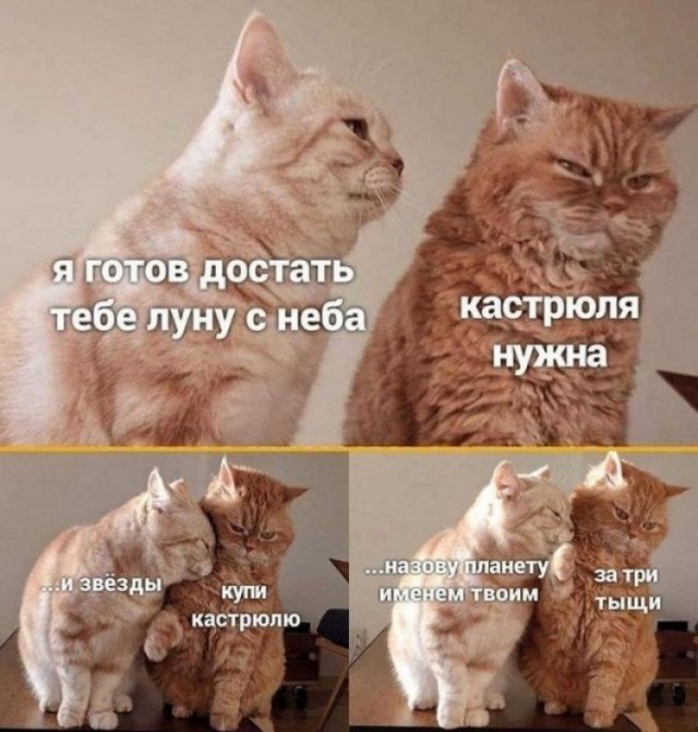 Милые бранятся только тешатся