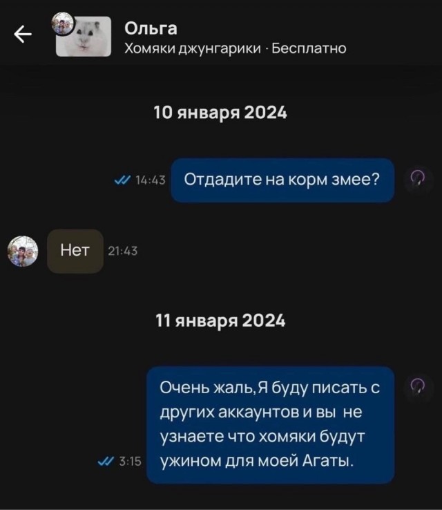 Веселое настроение в картинках (02.10.2025)