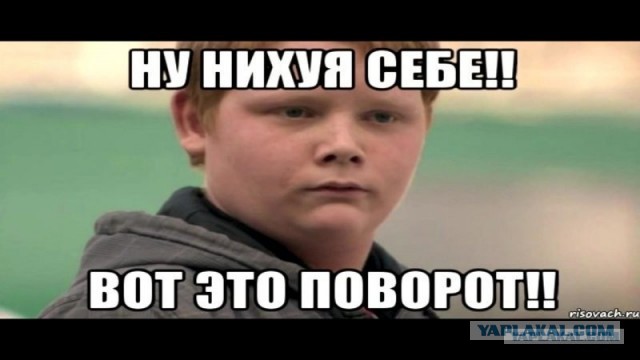 Членистоногие под пивко!