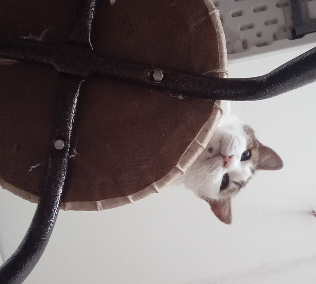 Вот такое оно - одиночество