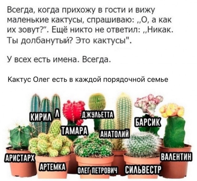 Среды картинки