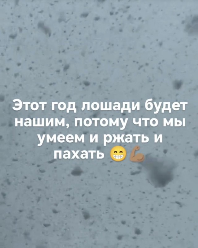 Так себе картинки 31.12.25