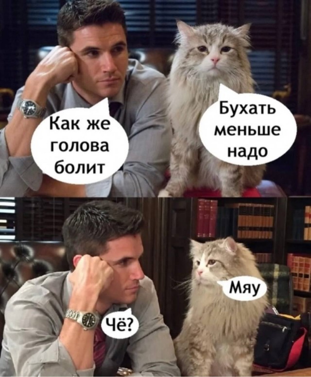Картинки для деградации 137 (разной степени свежести)
