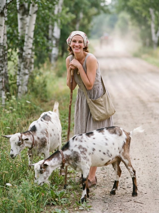 Звёзды Голливуда в нашей деревне