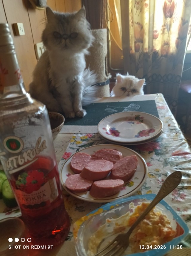 Из жизни усатых