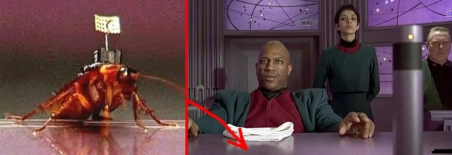 Голуби - шпионы.