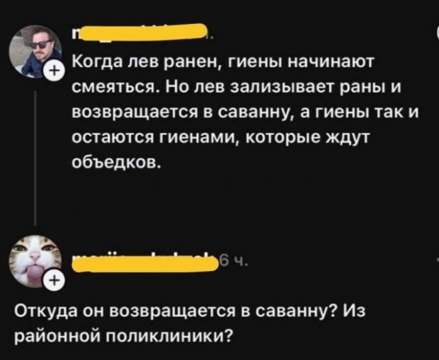 Веселые картинки в пятницу (05.06)