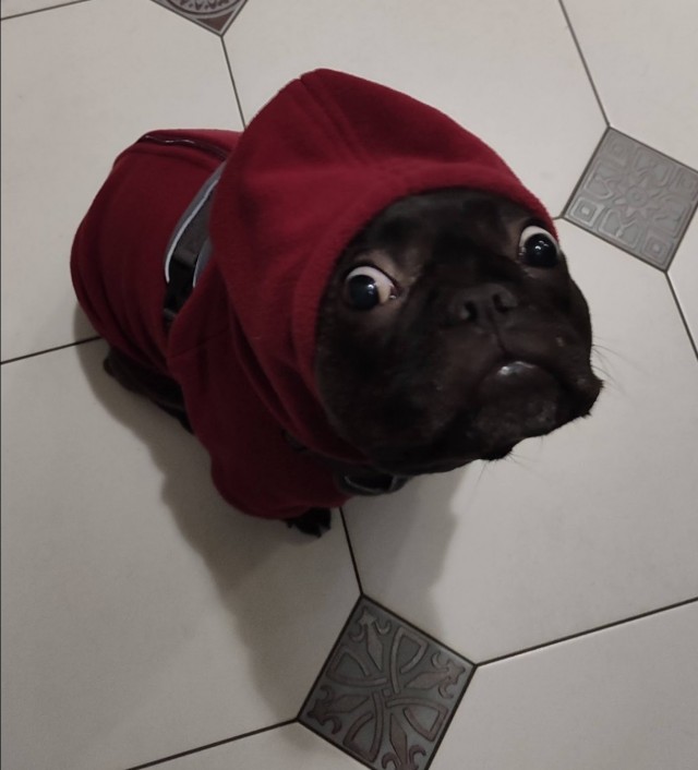 На нем вся стройка держится.