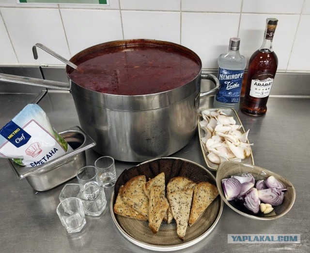 Трактат о борще без мяса и на воде