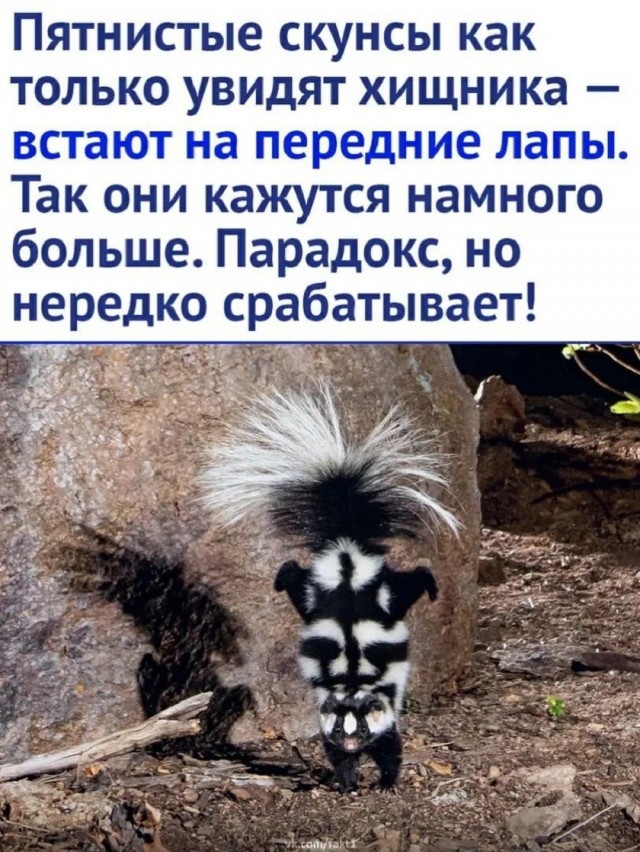 Так себе картинки 14.08.26