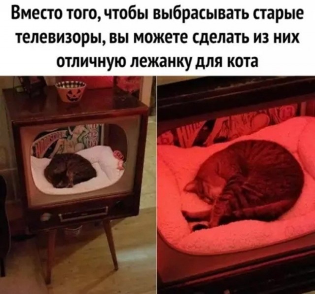 Так себе картинки 09.10.26