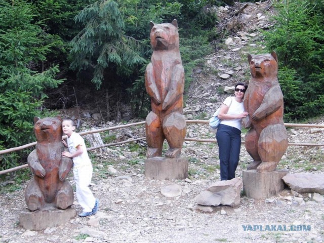 В Карпатах