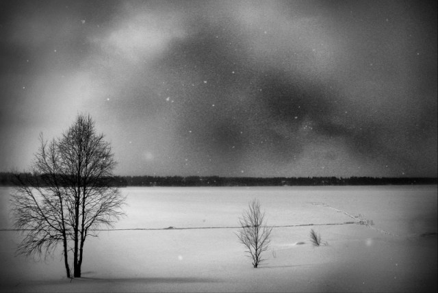 Скоро зима, товарищи !