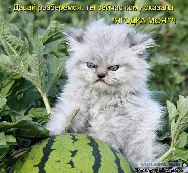 Чёрт, чёрт, чёрт!