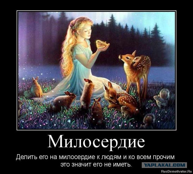 История Одноглазого Джо, котэ