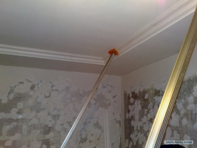 Потолок потолочек