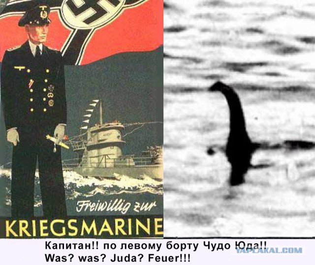 Наслаждался ужином, как вдруг...