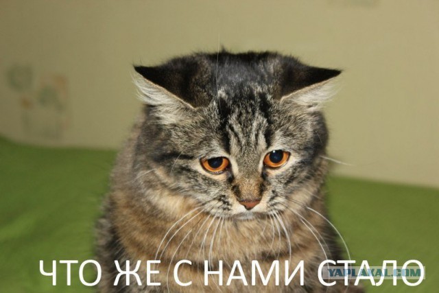 Праздник по-советски