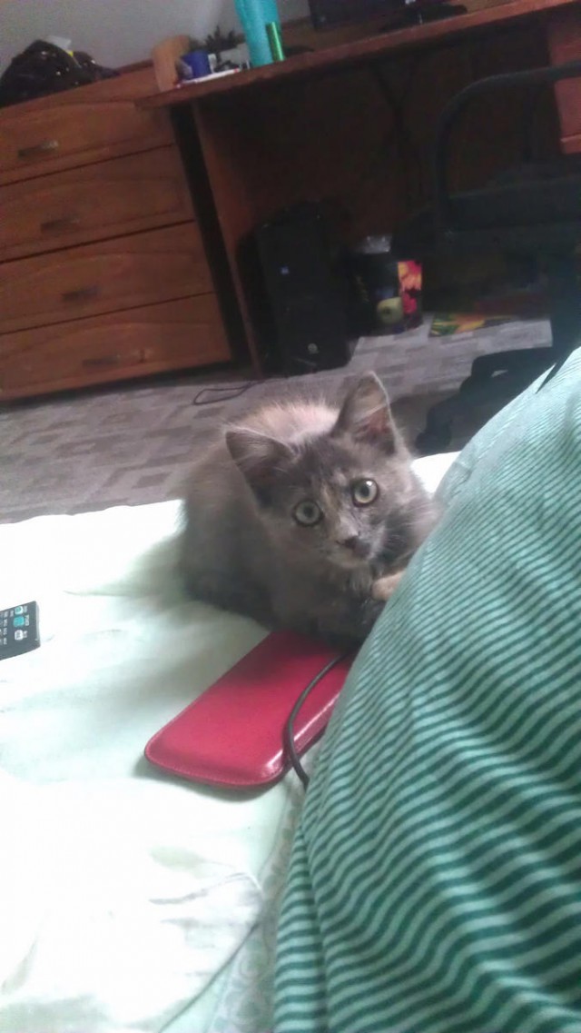 Про Тучку, которая стала Дымкой