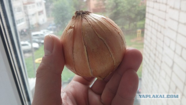 Аццкая кухня