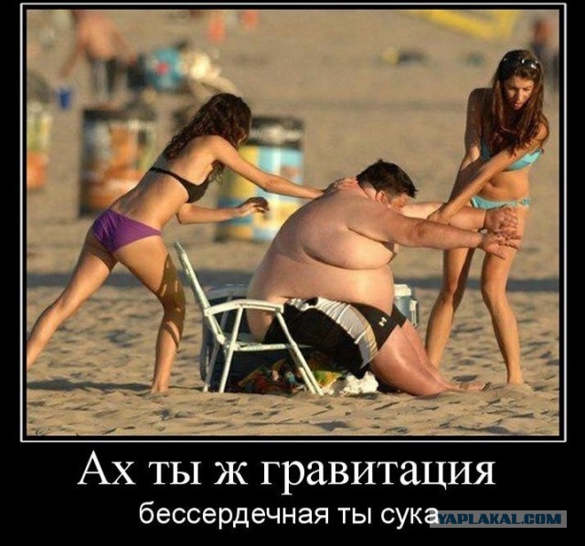 Демотиваторы