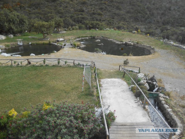 Рыбная ферма. Эквадор