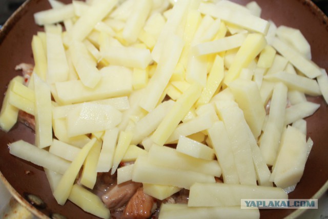 Психокулинария. День открытых дверей.