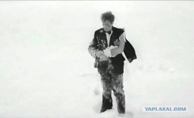 Европа - это сытый свинарник. Исповедь "свалившего" либерала