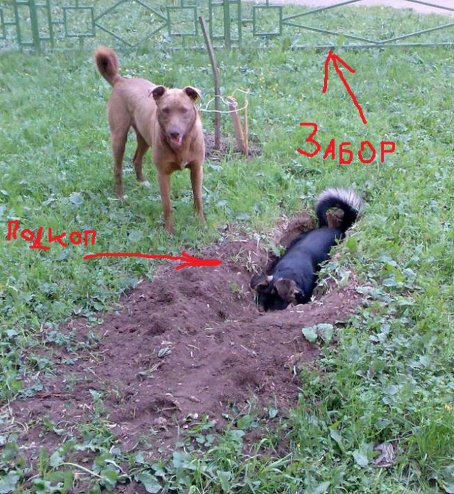Фотожаба: да здесь где-то недалеко!