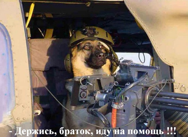 Купил чехол для пива. Собаке он пришелся по размеру...