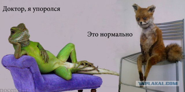 Упоротая пятиминутка