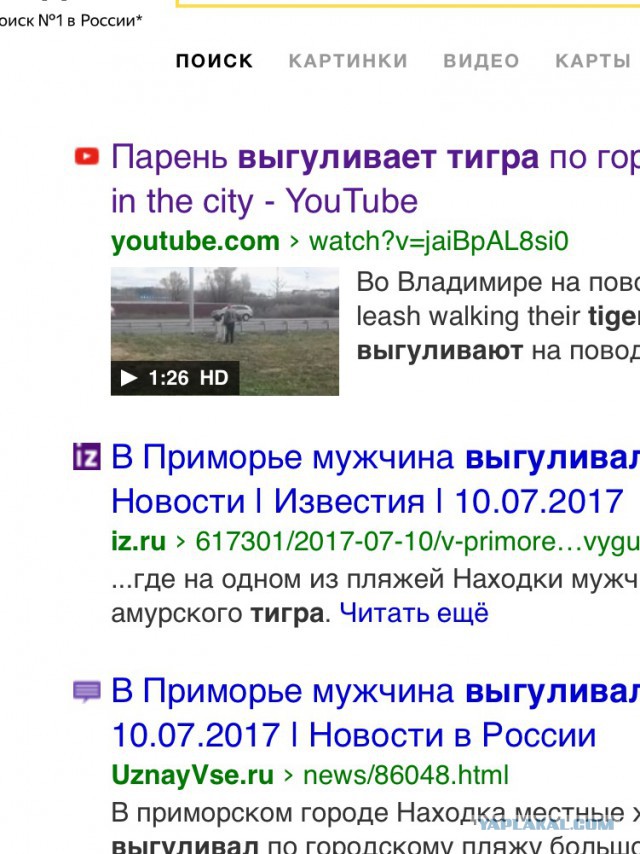 Про перестрелку с бандой GTA в суде...