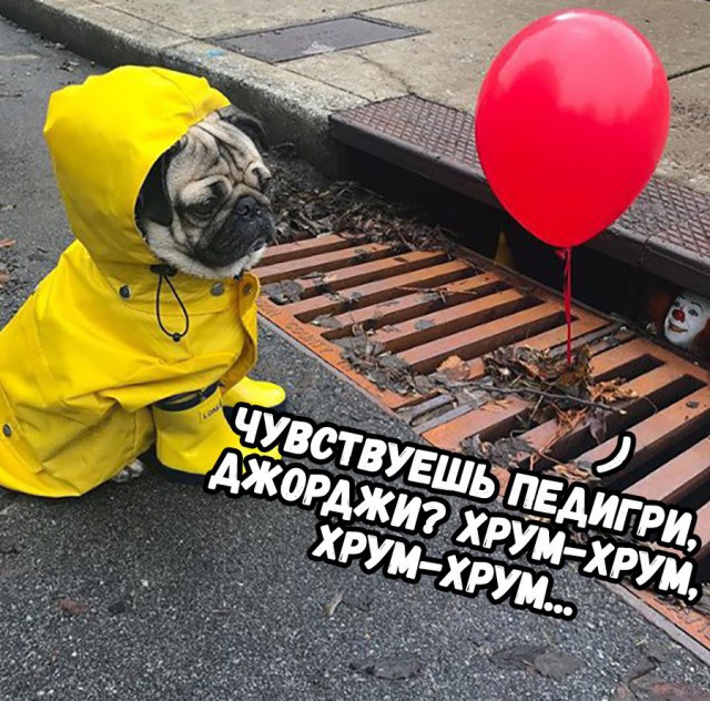 Картинки из интернета