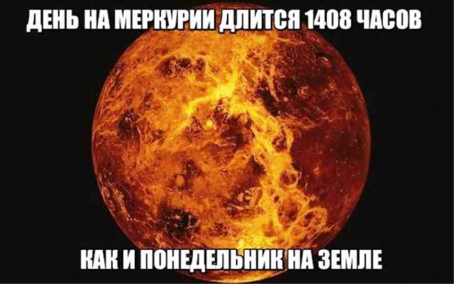 Подборка интересных и веселых картинок