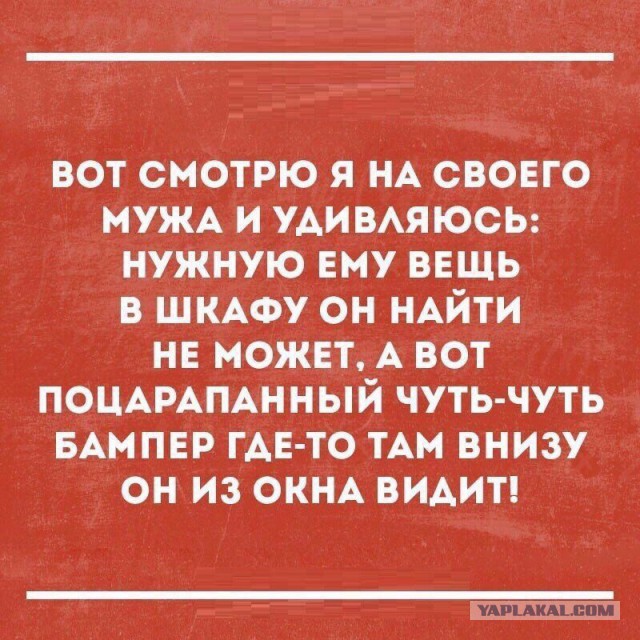Смешные комментарии из социальных сетей 22.12.2017