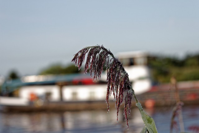 Просто Природа