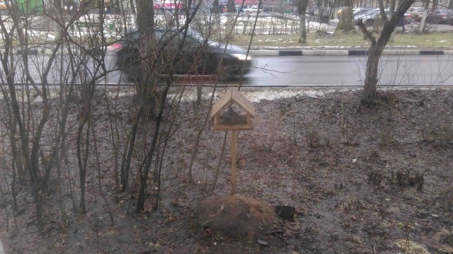 Спёрли