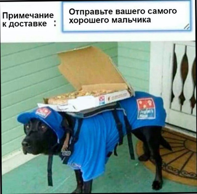 От работы оторвись и к картинкам присмотрись!