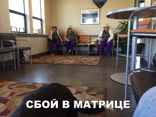 Нестандартный юмор