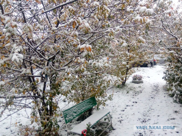 25 главных цитат голливудского кино