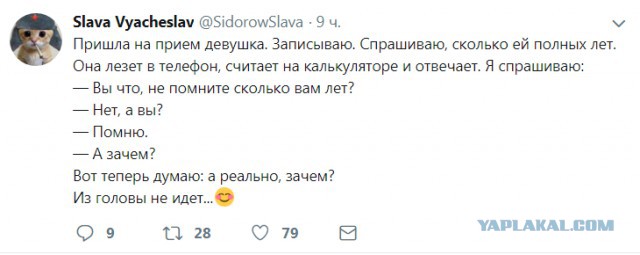 Забавные шутки, картинки и фразы из этих ваших интернетов
