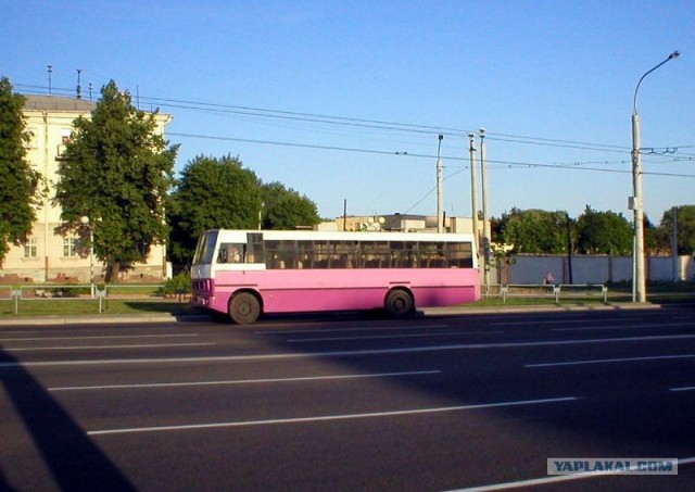 Игра на ЯПе: Угадай АВТО-2