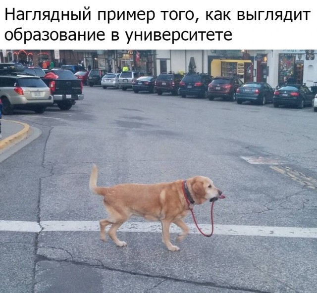 Прикольных картинок псто 01.10.19