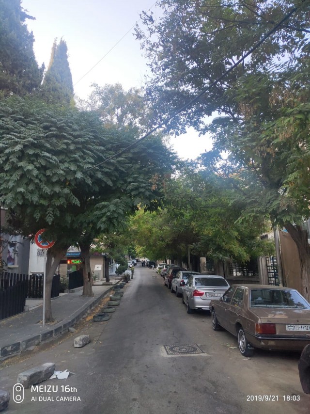 Отдых в Ливане 2019
