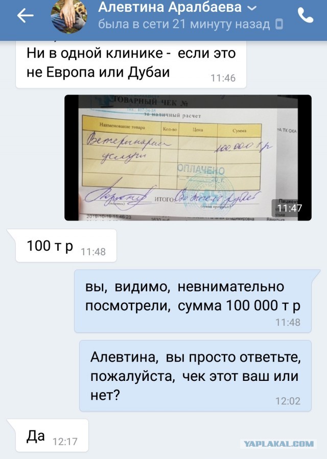 Помогите вернуть кота! Приют "Преданное сердце" украл кота и не отдает!-2