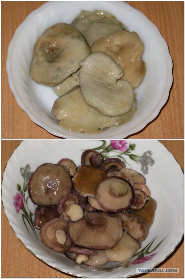 Картофельная запеканка с солёными грибами