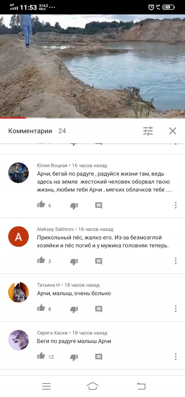 Полное видео про убийство хаски под Челябинском