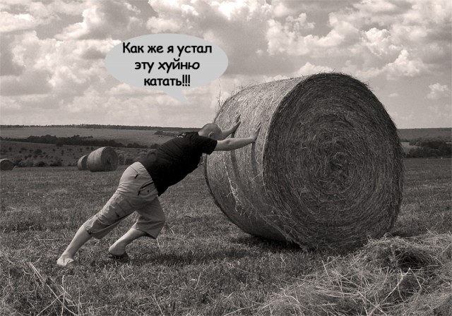 Я несу хуйню
