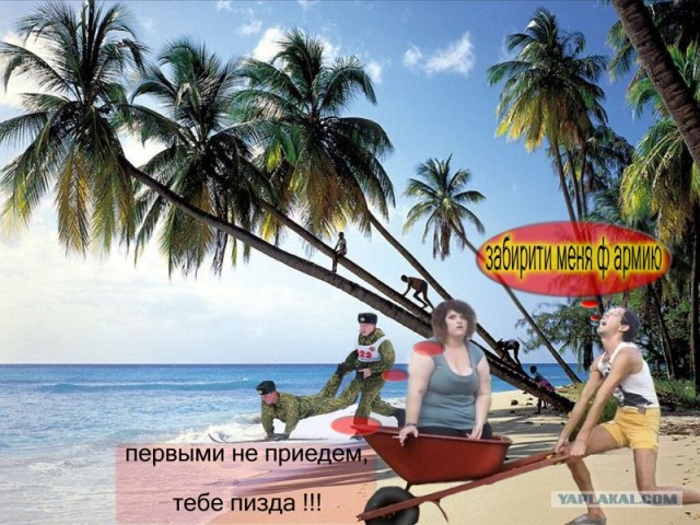 Битва фотожаберов (команда №3), Армия будущего